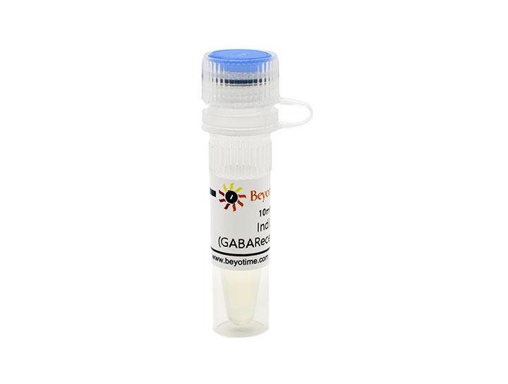 Indiplon (GABA Receptor调节剂)